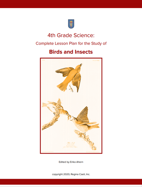 4th Grade Science: Birds and Insects! Nature Notebooking