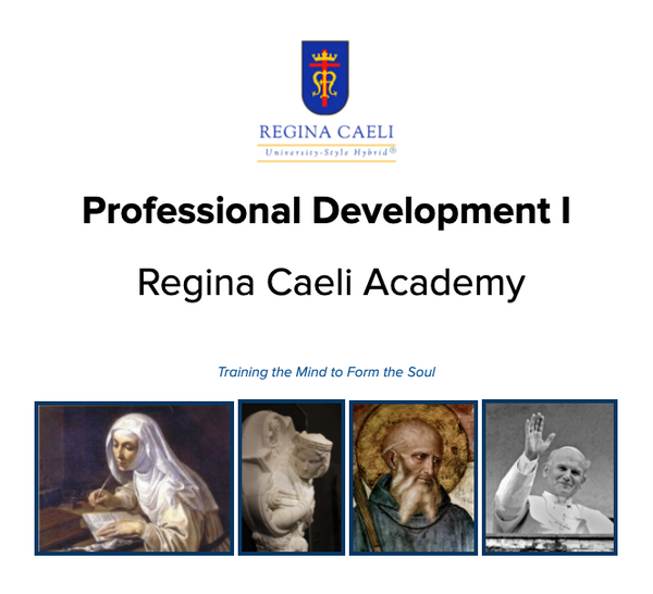 Professional Development I Curriculum