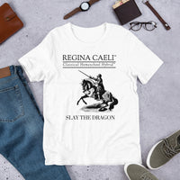 Adult Dragon Slayer Unisex t-shirt